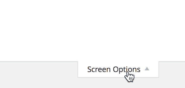Screenshot of the View editor where the mouse pointer hovers over the Screen Options tab at the top of the page
