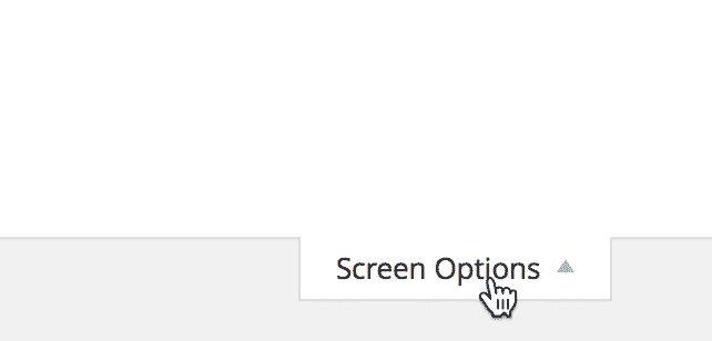 Screenshot of the Screen Options tab inside the View editor