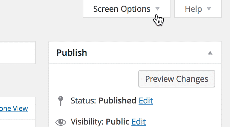 Screenshot of the View editor where the mouse pointer hovers over the Screen Options tab at the top of the page