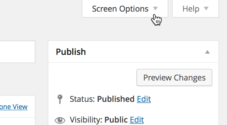 Screenshot of the Screen Options tab inside the View editor