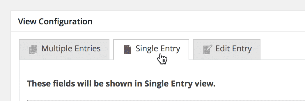 Screenshot of the Single Entry tab inside the View Editor