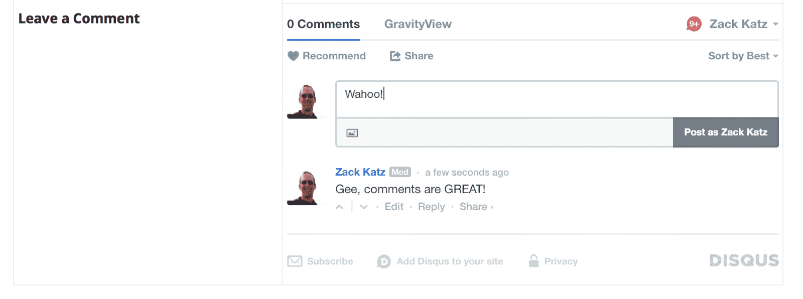 Screenshot of Disqus in action on the View
