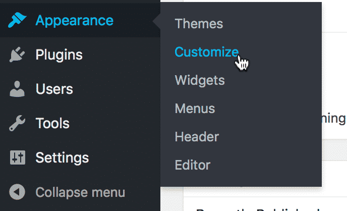 The Customize link under the Appearance menu item in the WordPress Admin menu