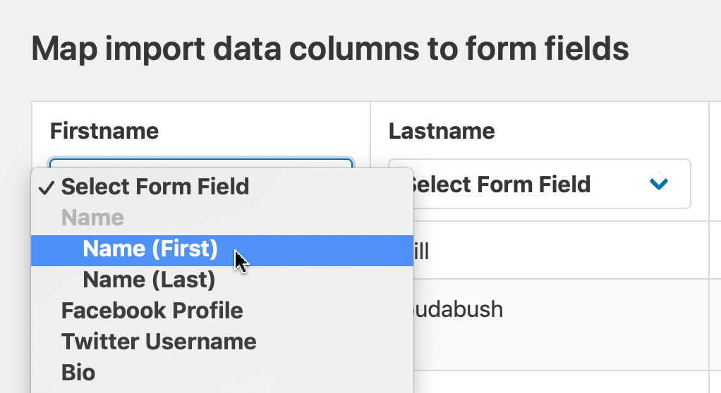 Choose which field the column data should be imported into