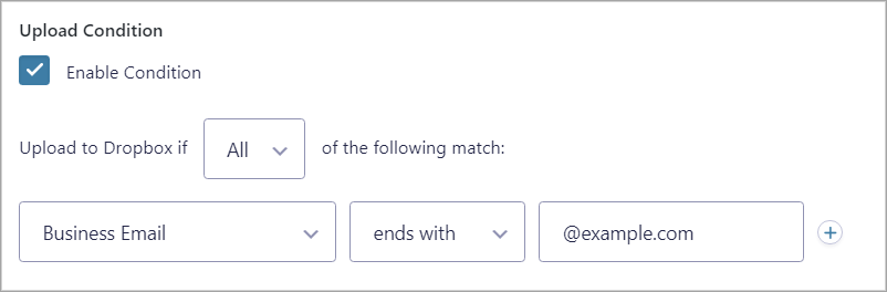 Conditional logic settings that says 'Business Email ends with @example.com'