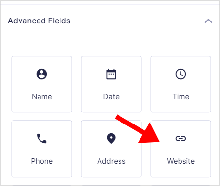 The Gravity Forms Website field under the Advanced Fields tab