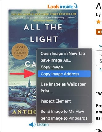 The 'Copy Image Address' option