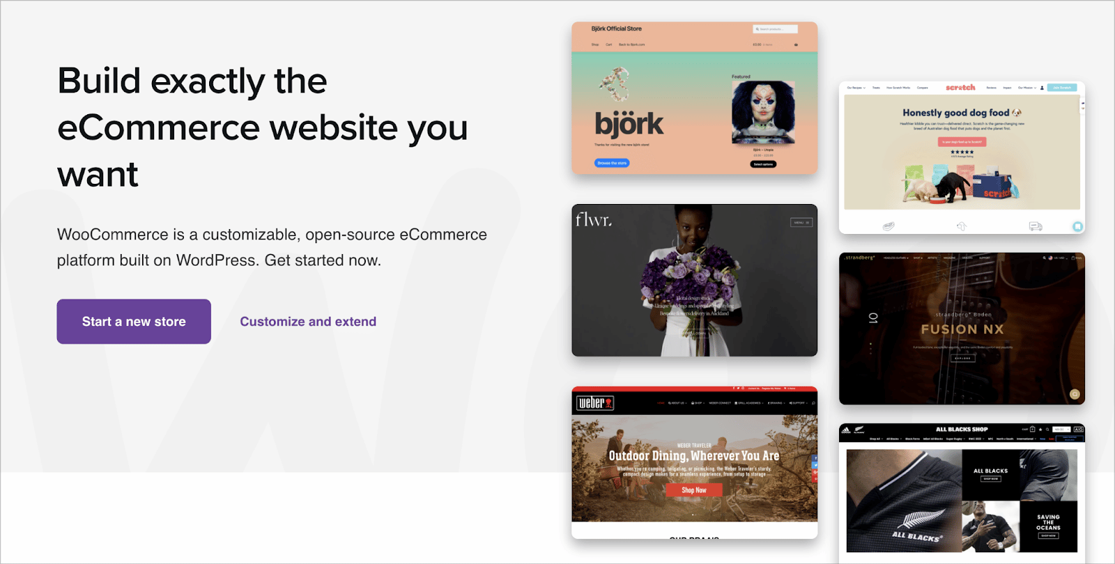 The WooCommerce homepage showcasing a gallery of example online stores with the tagline "Build exactly the eCommerce website you want"