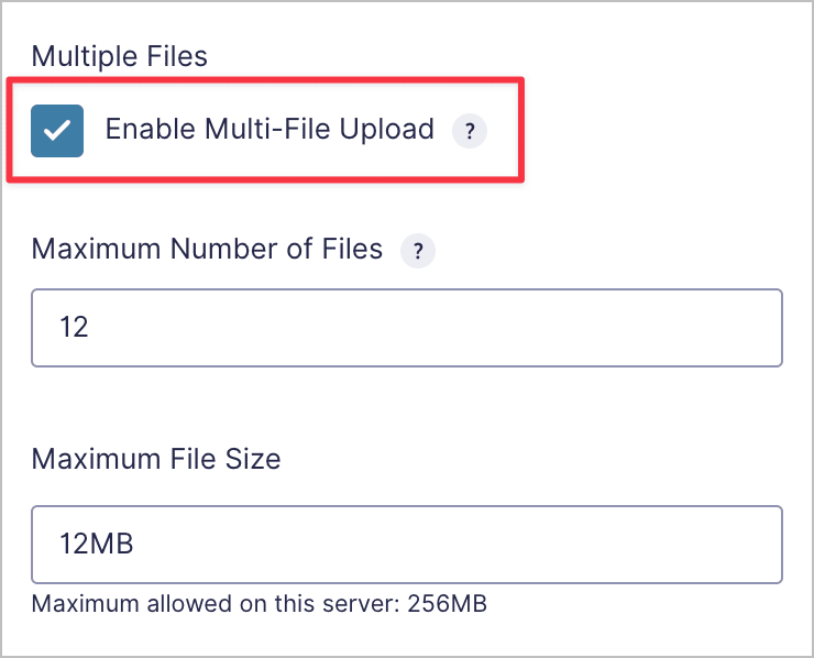 A checkbox labeled 'Enable Multi-File Upload'