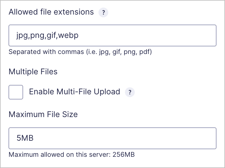 The field settings for the Gravity Forms File Upload field, which includes a box to limit the allowed file extensions and maximum file size