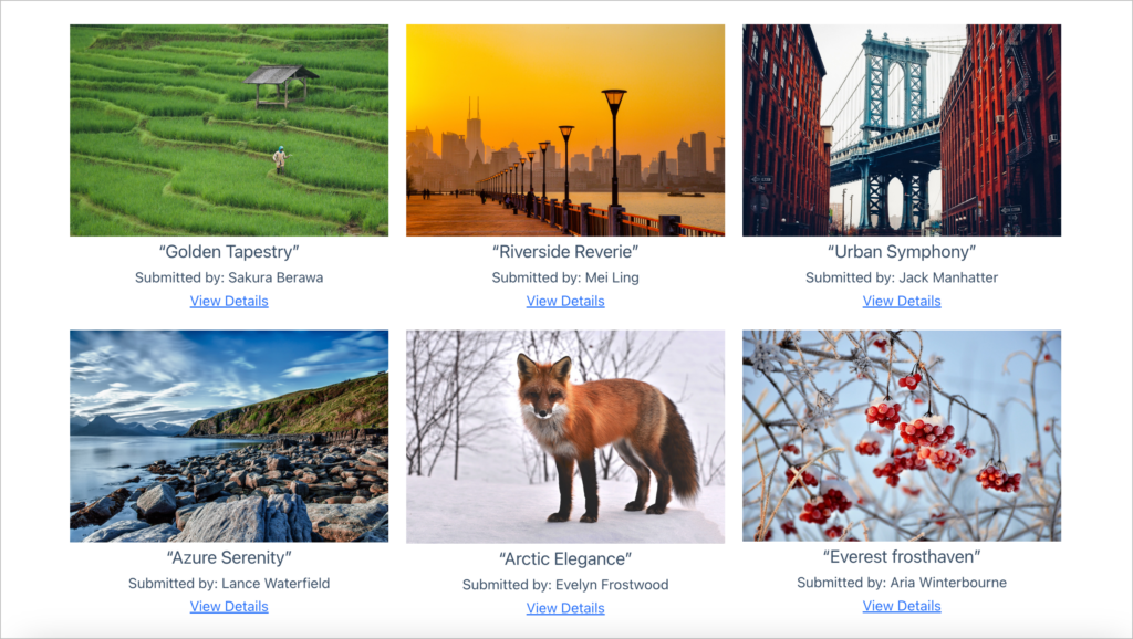 A grid of photos, each as a title, and a View Details link below it.