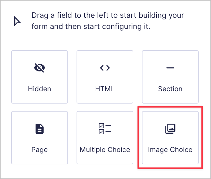 The Gravity Forms 'Image Choice' field