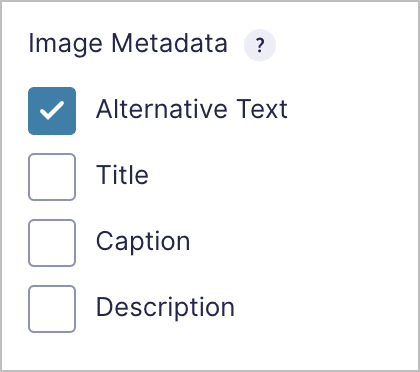 A checkboxes field labeled 'Image Metadata'