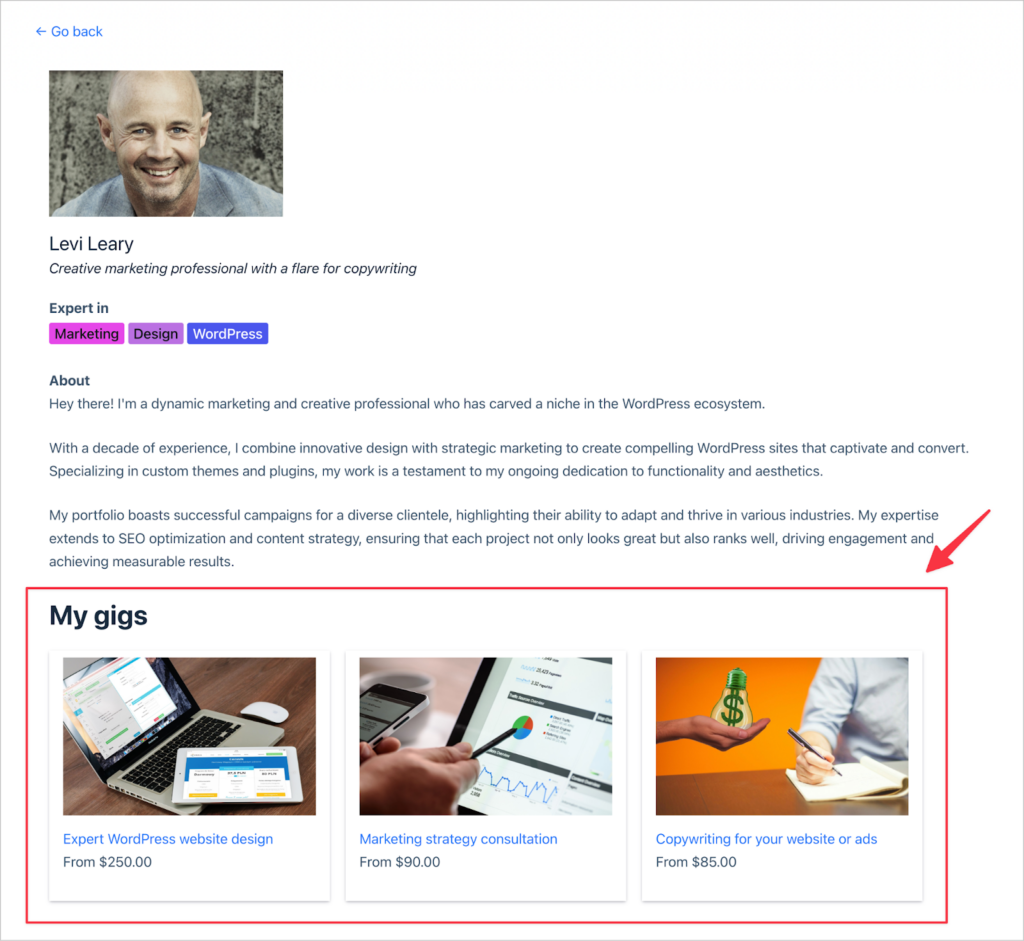 A freelancer profile page with a grid of gigs at the bottom (this is a separate View)
