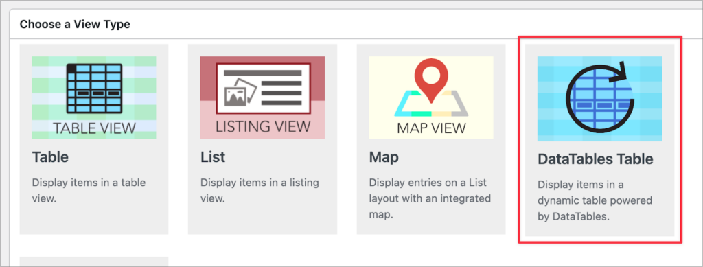 Choosing a View Type; the DataTables Table is selected