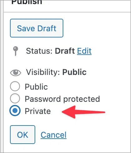 An arrow pointing to a checkbox option labeled 'Private'