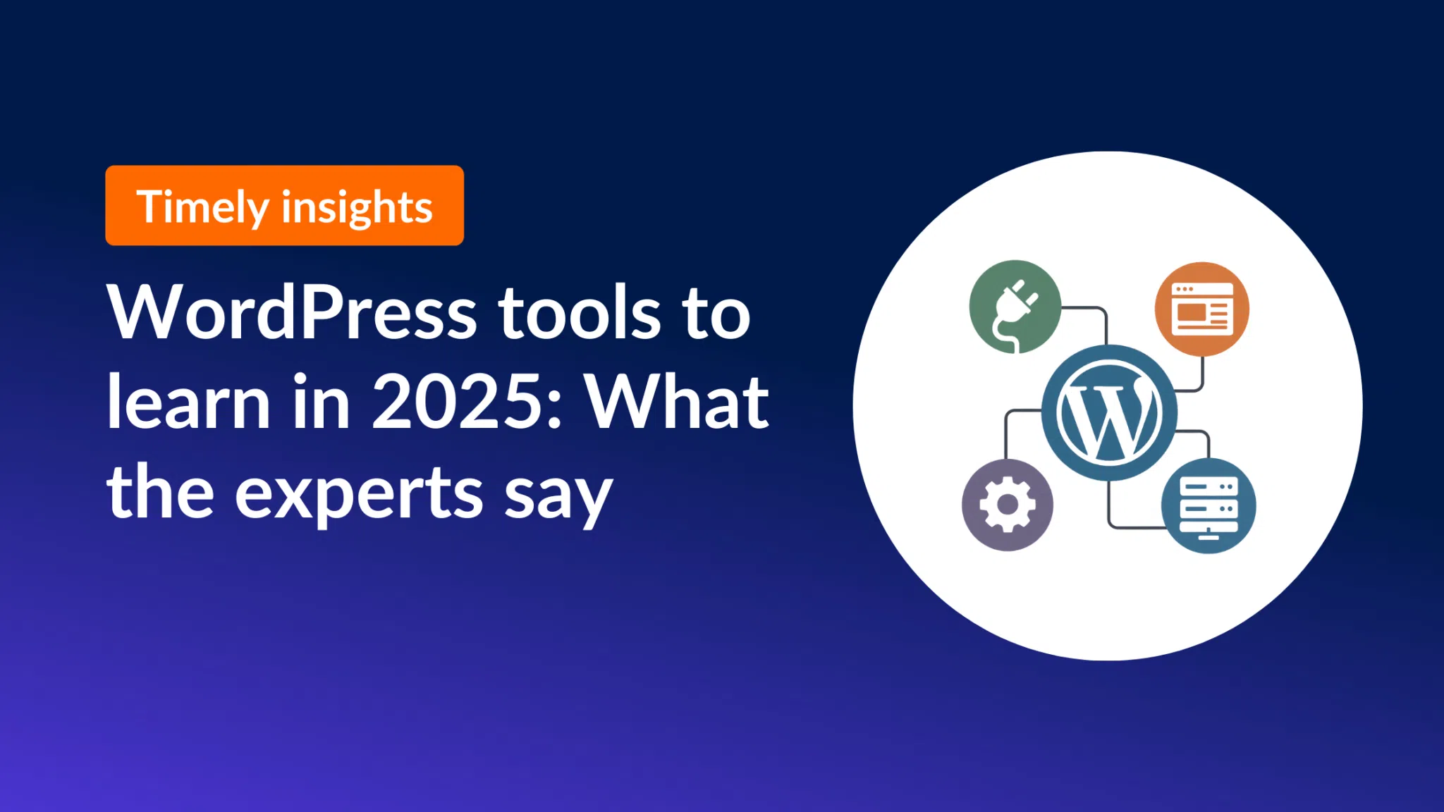 Timely insights: WordPress tools to learn in 2025: What the experts say