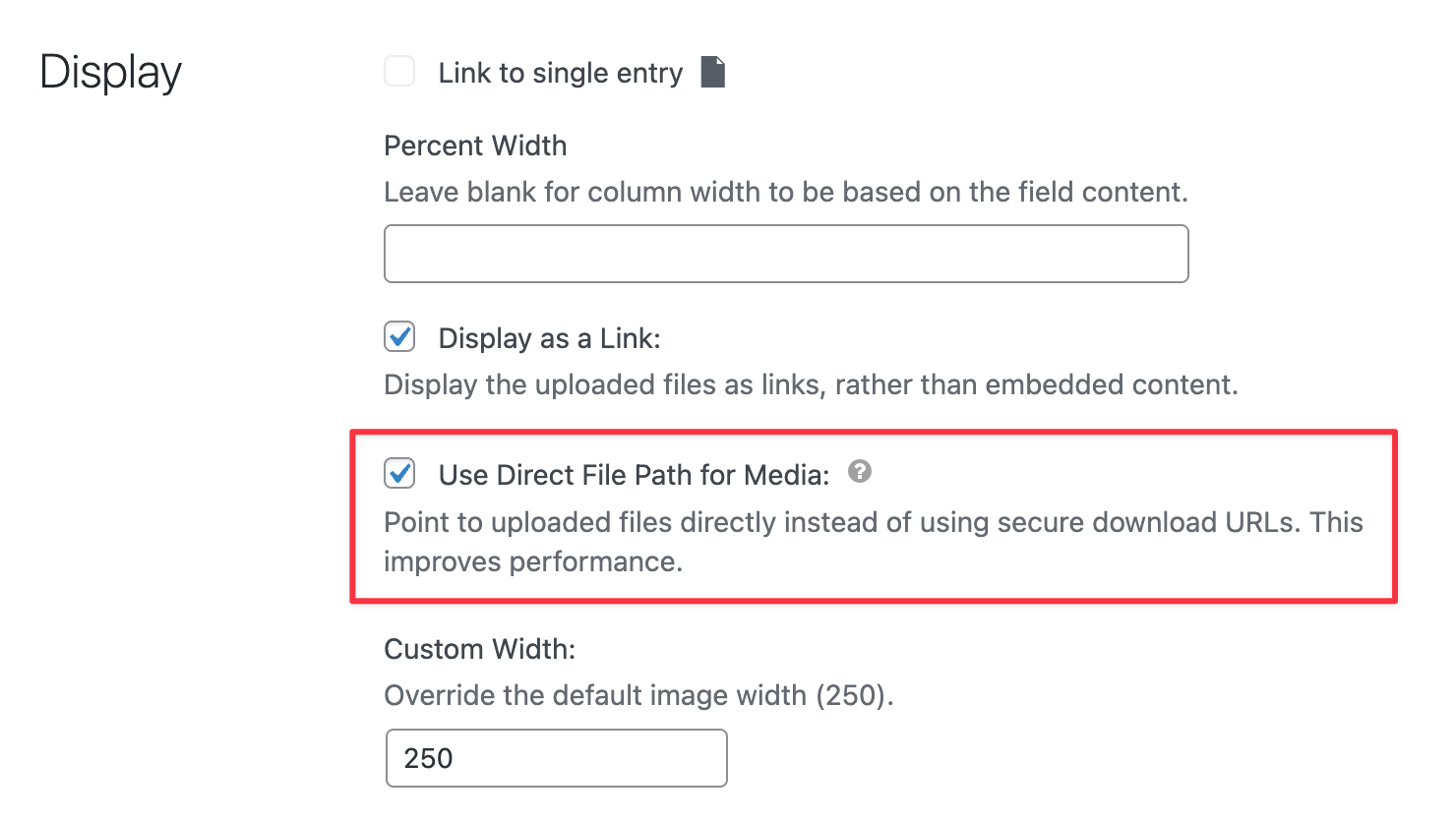 Checkbox for using direct file paths in GravityView to enhance performance