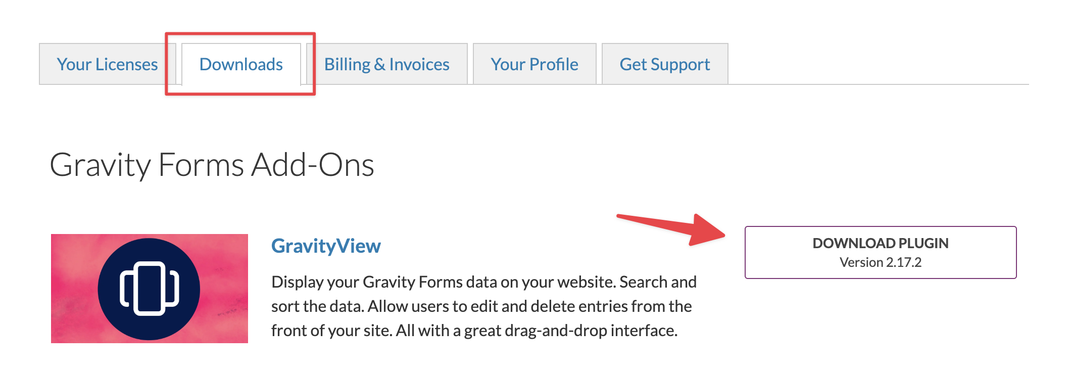 Downloads tab for GravityView plugin installation, with download button for version 2.17.2