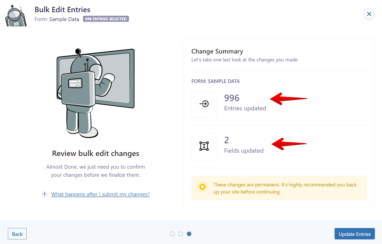 Bulk edit review screen showing 996 entries and 2 fields updated in a form called Sample Data