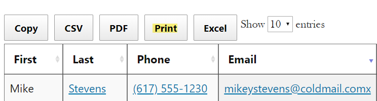 DataTable with Copy, CSV, PDF, Print, Excel buttons; showing columns for First, Last, Phone, Email