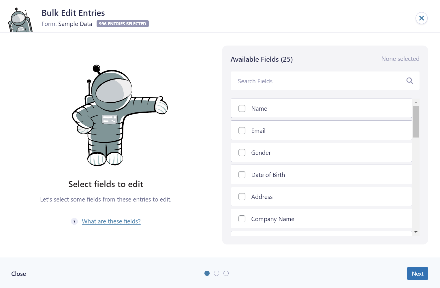 Bulk edit entries interface with selectable fields like Name, Email, Gender, and others for editing