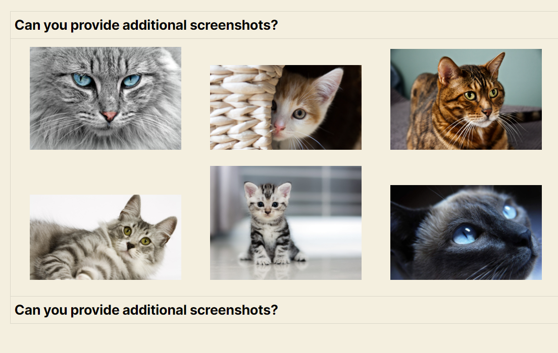 Grid layout displaying six diverse cat images