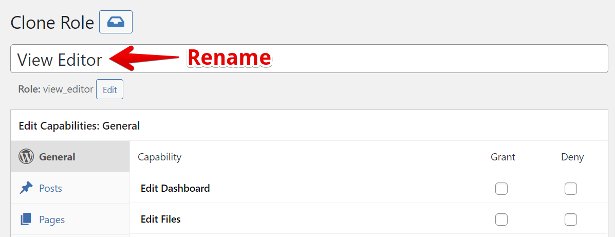 Clone Role interface showing options to rename "View Editor" and edit capabilities