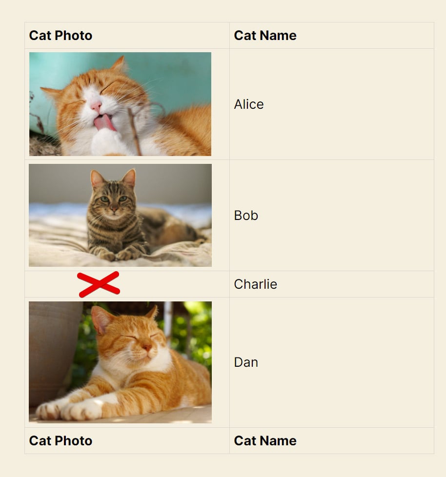 Table of cat photos with names; missing photo for Charlie, marked with a red cross