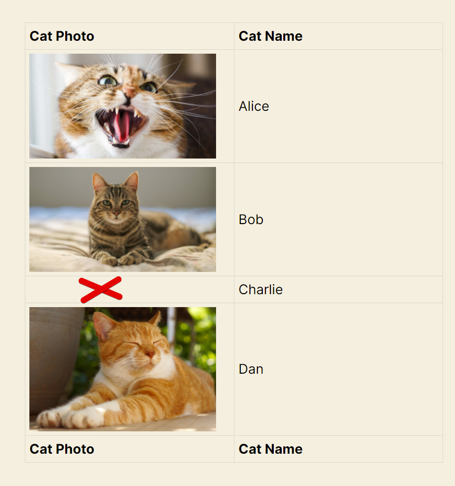 Placeholder used for missing photo of cat Charlie in table