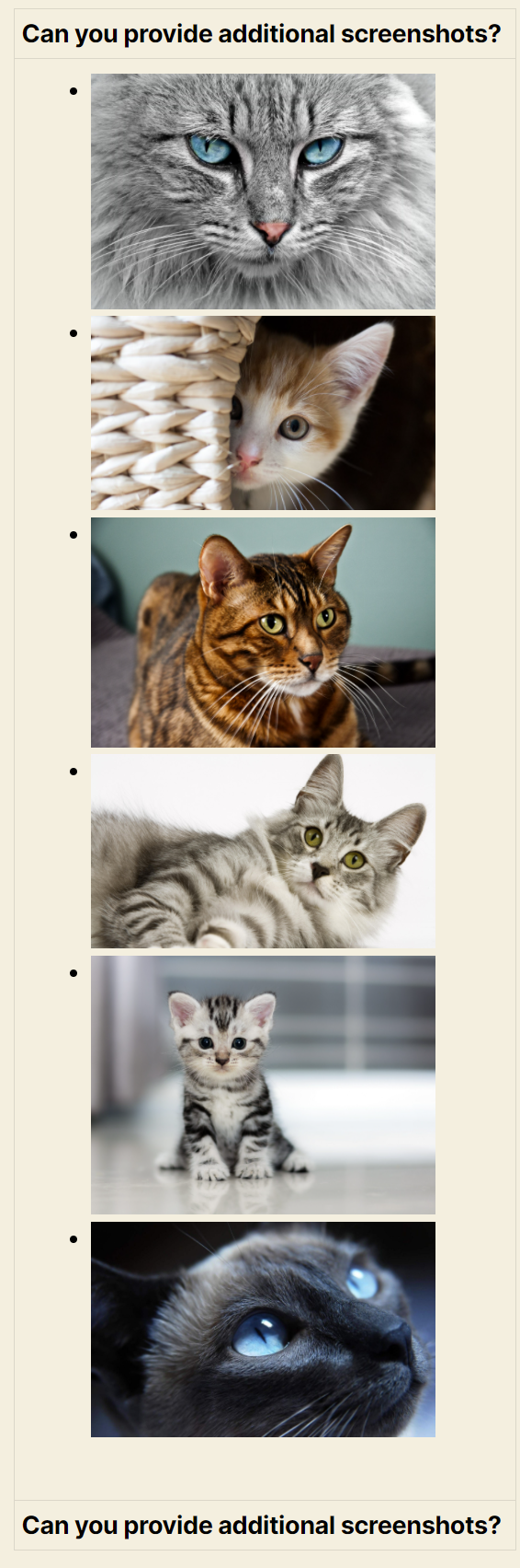 Grid layout displaying six cat images vertically