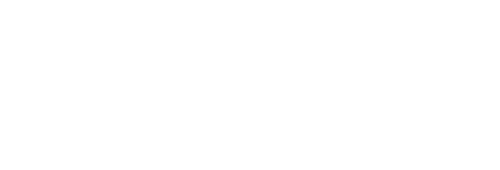 Experience Solutions logo