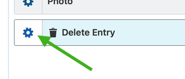 An arrow pointing to the gear icon next to the Delete Entry field in the View editor