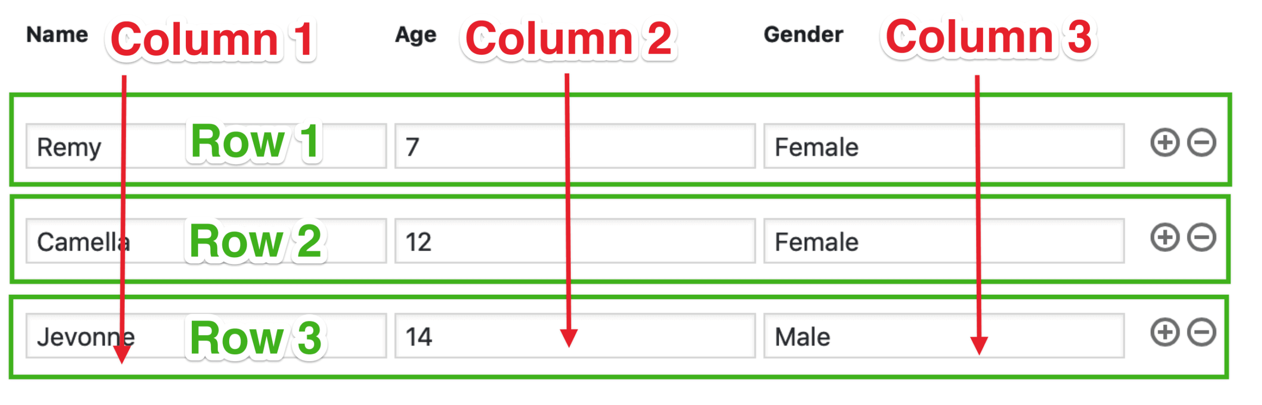 Form layout with three columns: Name, Age, Gender, and three rows with input fields for data entry