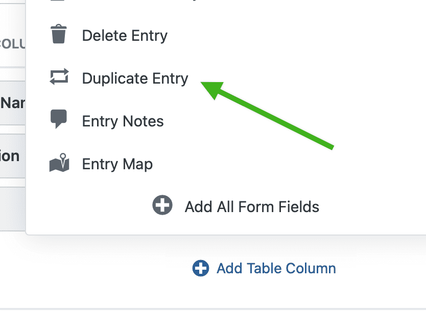 Choosing the Duplicate Entry field to add to the Single Entry View